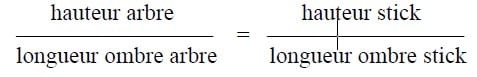 calcul de la hauteur d'un arbre