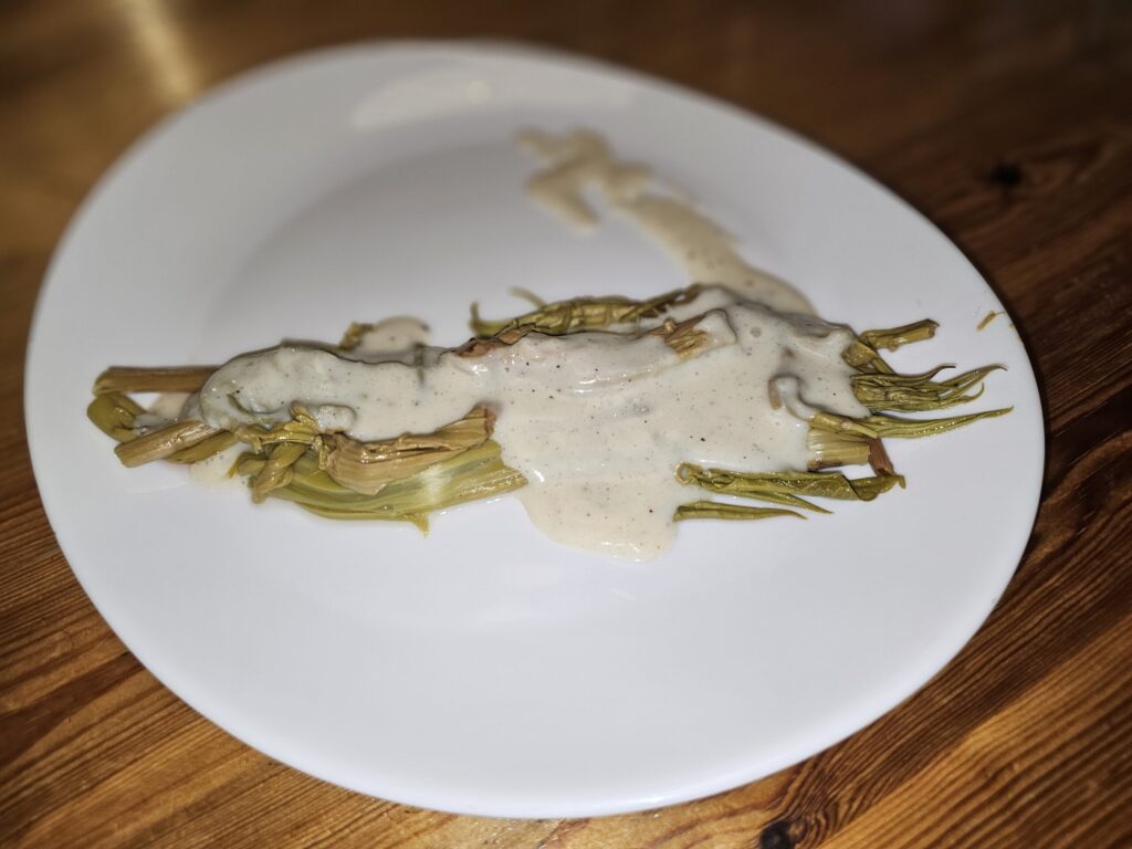 Renouée du Japon accompagnée d'une sauce béchamel