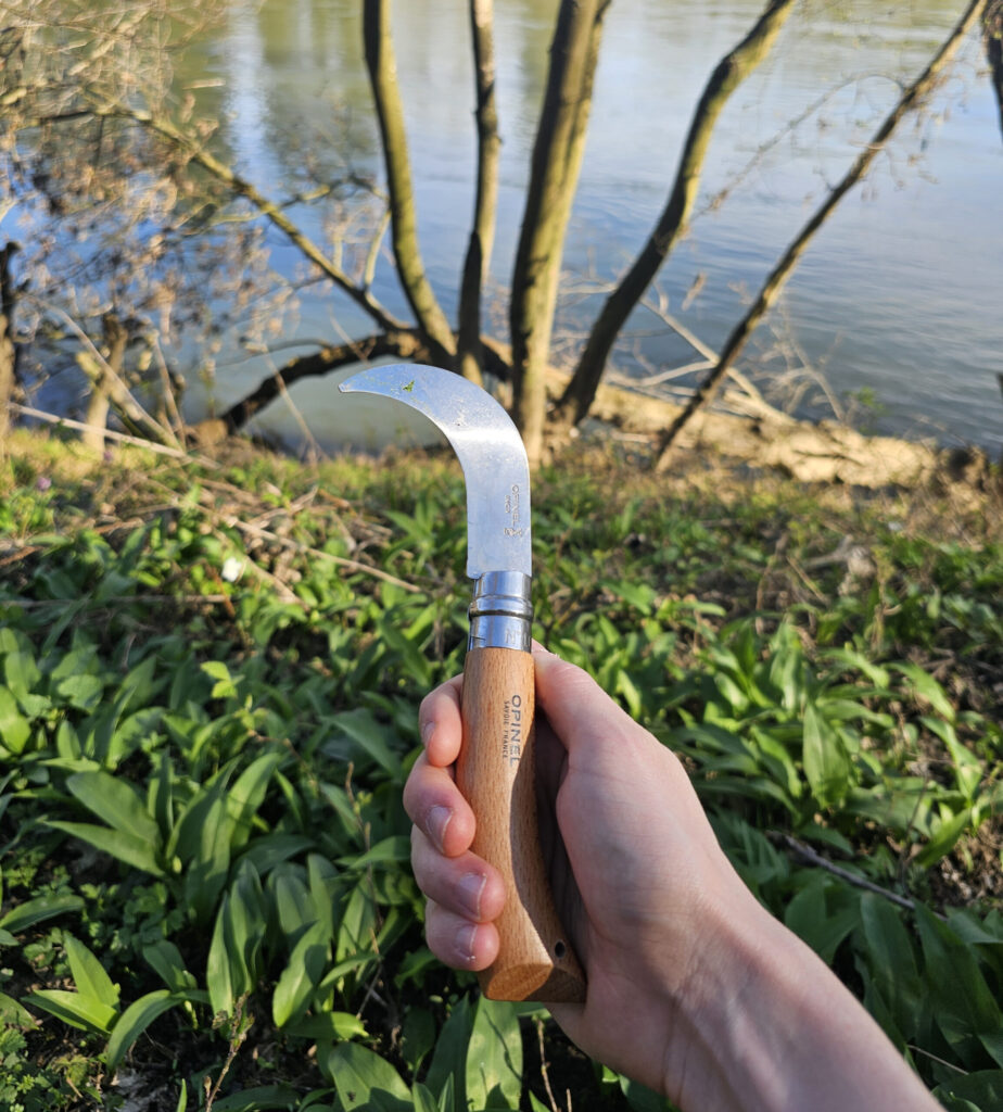J'utilise une serpette d'opiner pour cueillir les plantes sauvages.