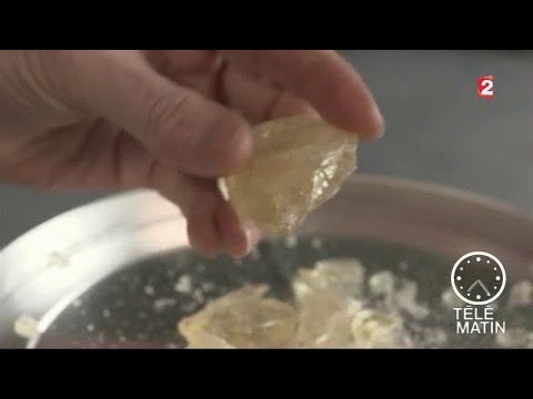 Sciences - Les vertus de la résine des pins