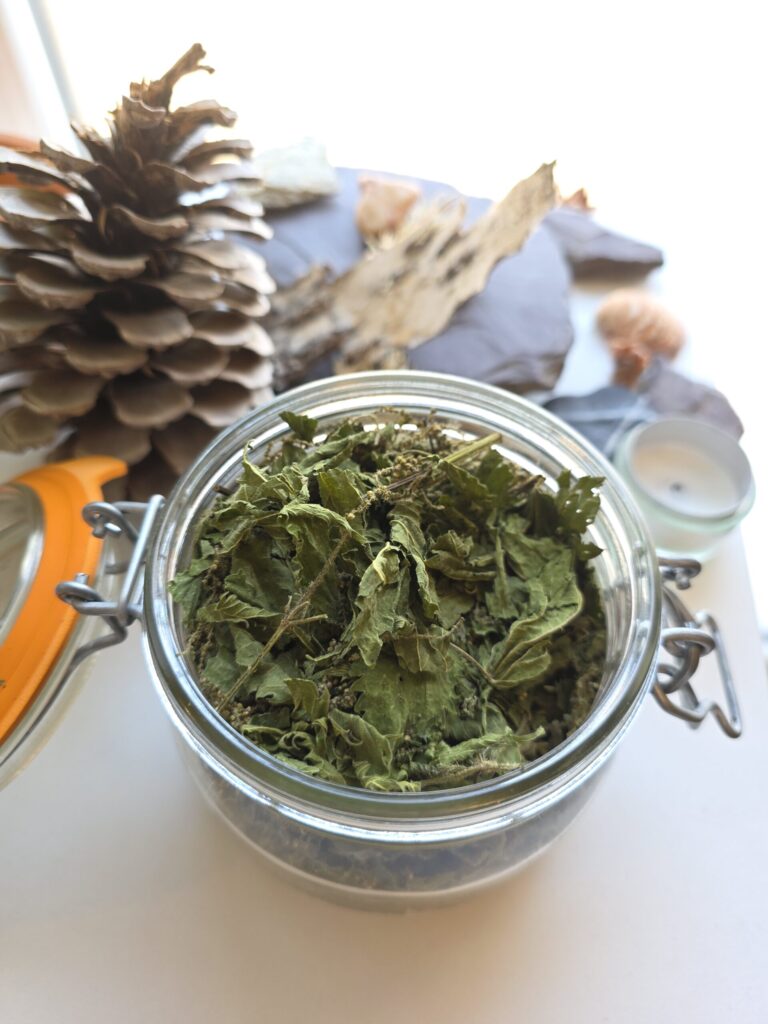 ortie séchée riche en calcium