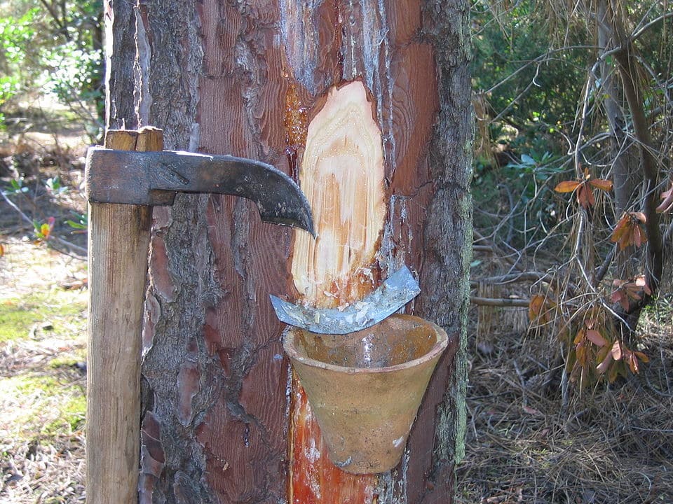 Résine de pin, pierre hugues