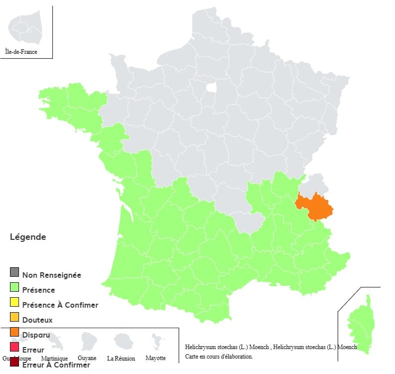 presence herbe curry france