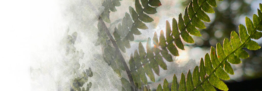 banner4